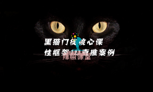 黑猫门徒核心课程.导师很实战派（已修复）