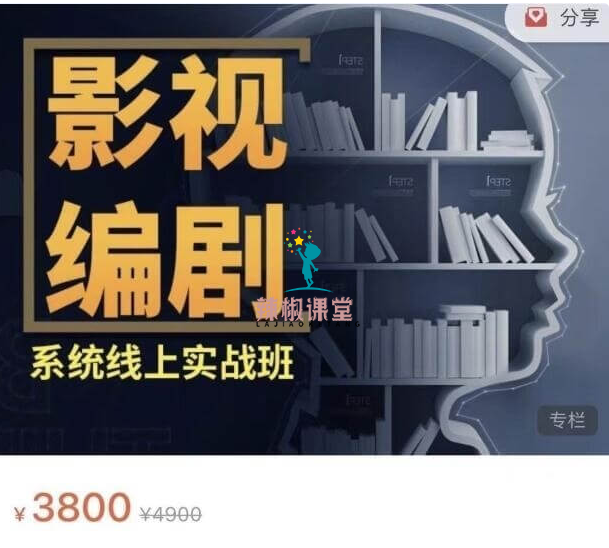 影视编剧系统线上实战班价值3800元
