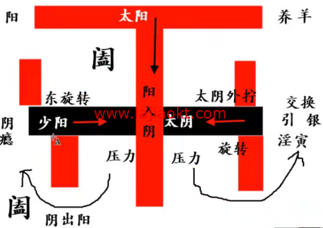 辛圣明-南北政中医脉诊实战录像第20期【全集39课】