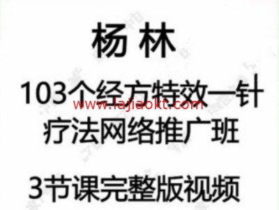 杨林-103个经方特效一针疗法【3节完整视频】