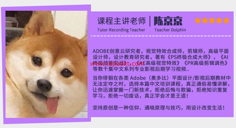 陈京京PR剪辑调色班【画质高清有素材】