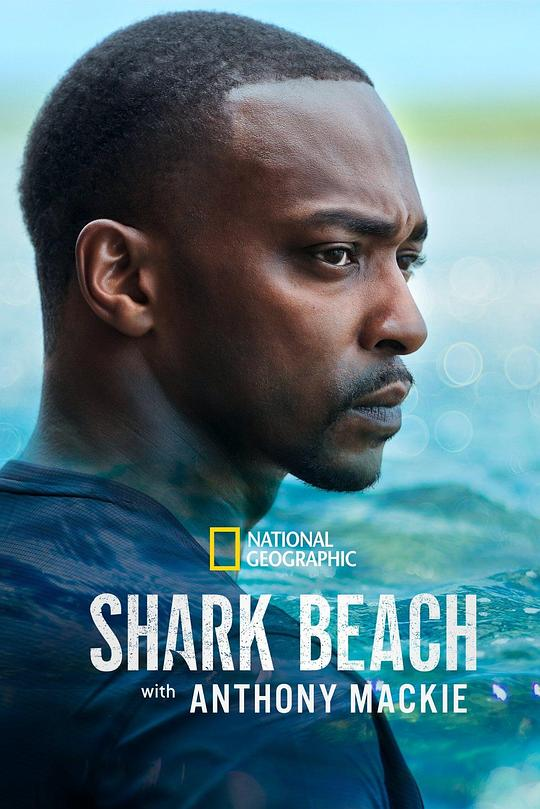 安东尼·麦凯的鲨滩Shark Beach with Anthony Mackie(2024)
