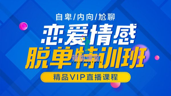 麦子 《脱单实战课程VIP》